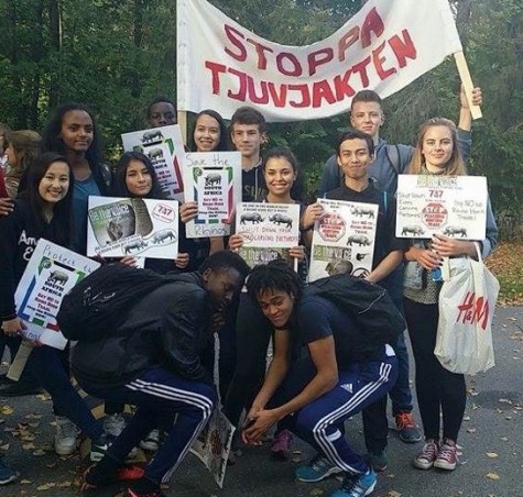 Global March for Elephants and Rhinos in Stockholm