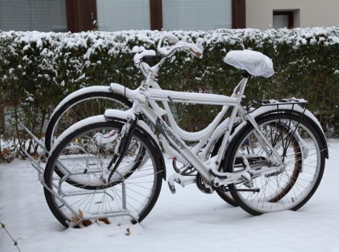 Snow Day for Stockholm!
