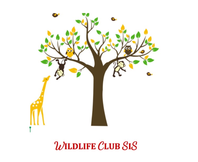 SIS Wildlife Club!