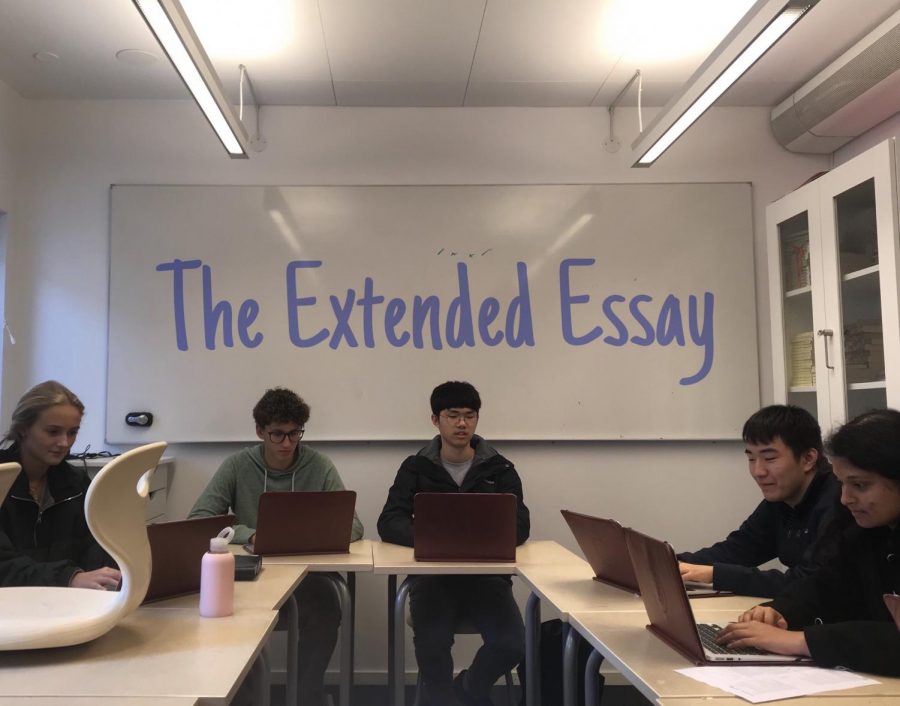 IB DP Survival Guide Part 2: The Extended Essay