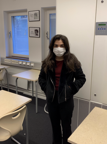 To Mask or not to Mask?