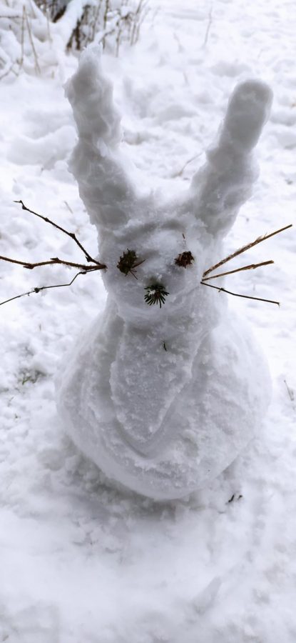 Snow+Bunny