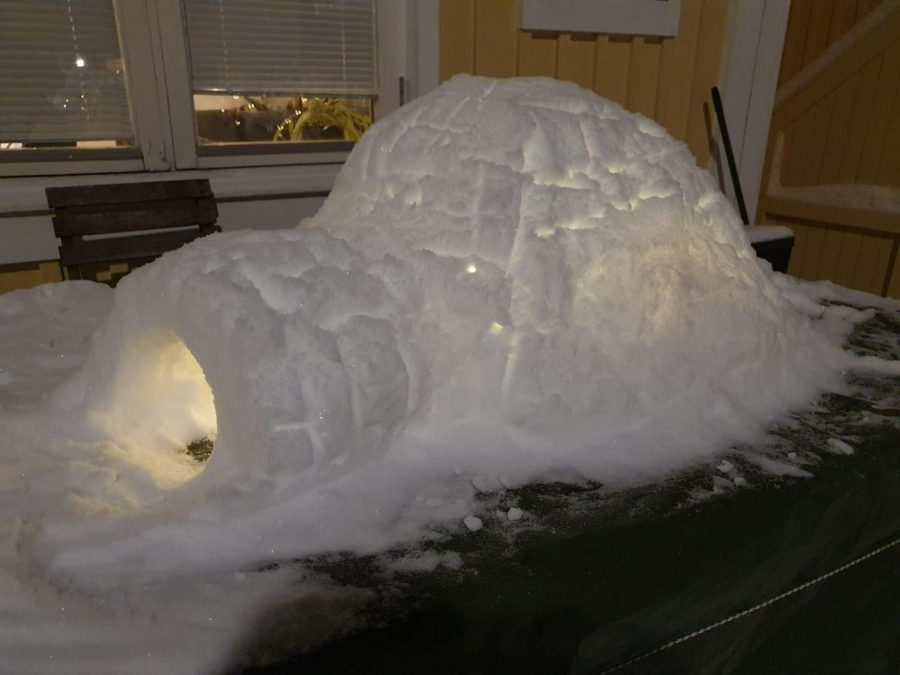 Family Igloo