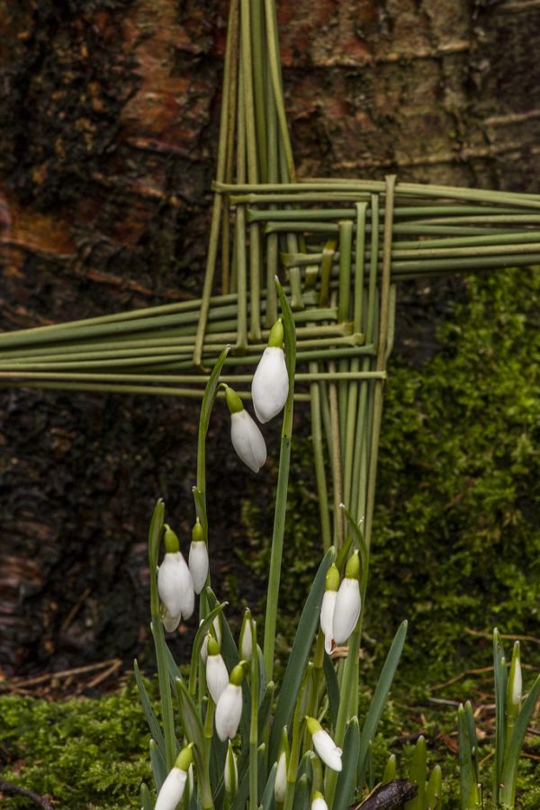 A St. Brigids Day Cross
(Creative Commons: Flickr)