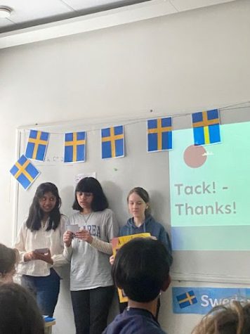 Keerthana, Asmi och Megan - grade 8