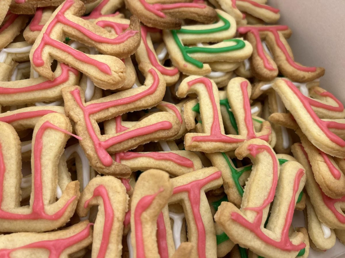 Pi Decorated Cookies - Photo J Snell