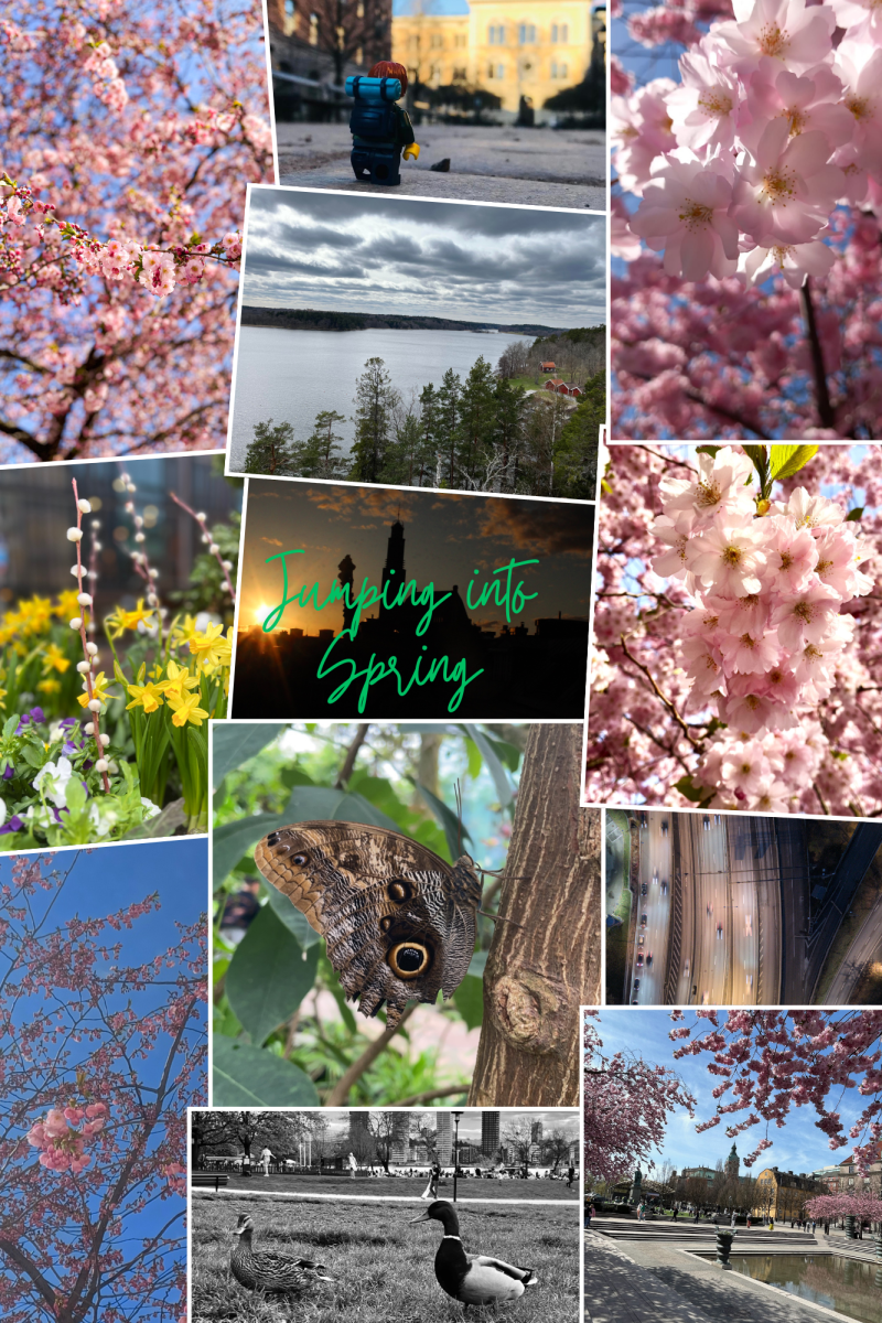 Collage of Jumping into Spring photo competition entries