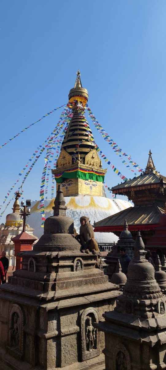Making an Impact: The 2024 Nepal project trip