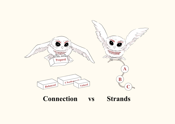 Are You a Strands or  Connections Person? 