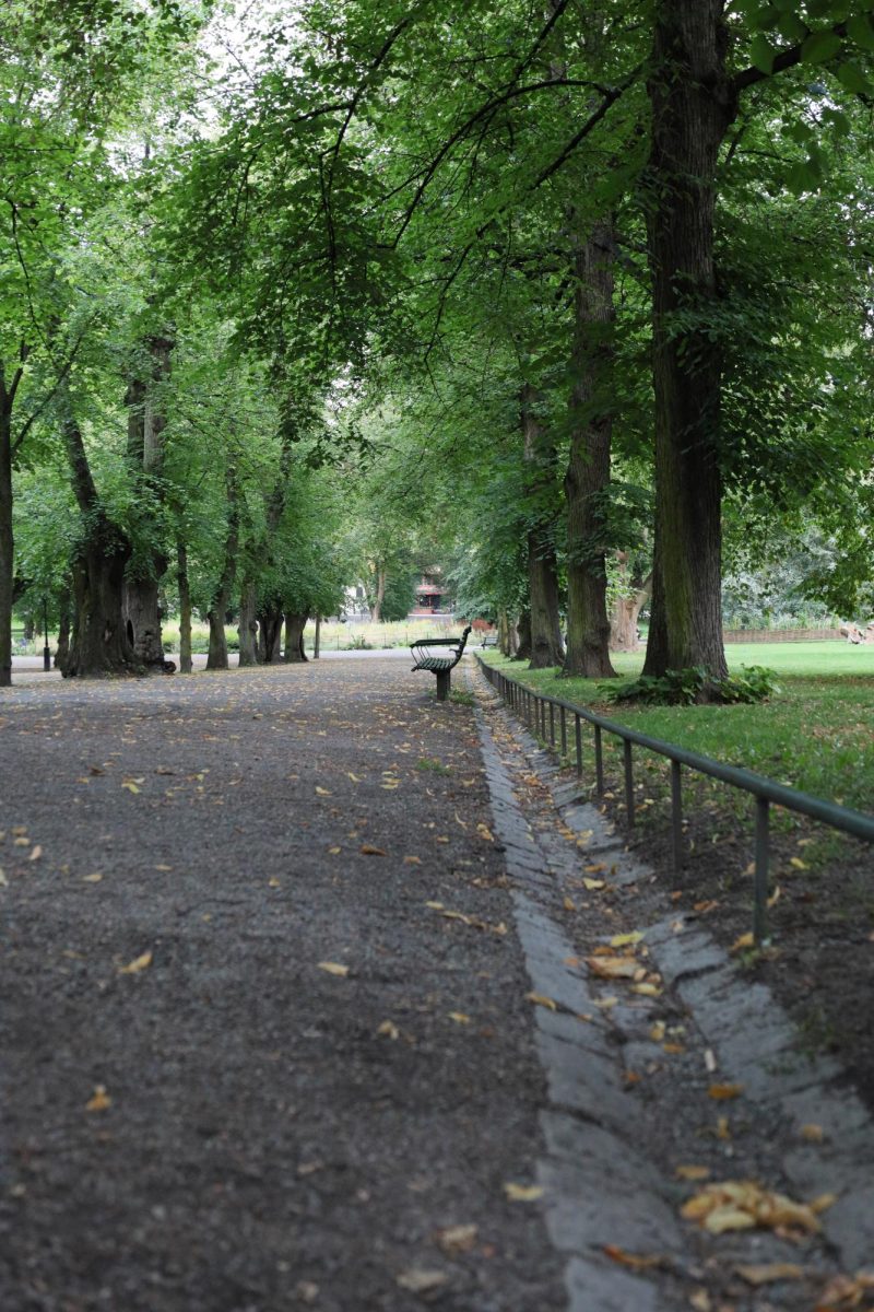 A lonely park bench