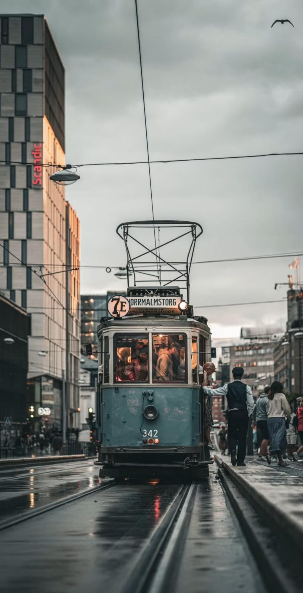 Picture of the Week by Michele C.