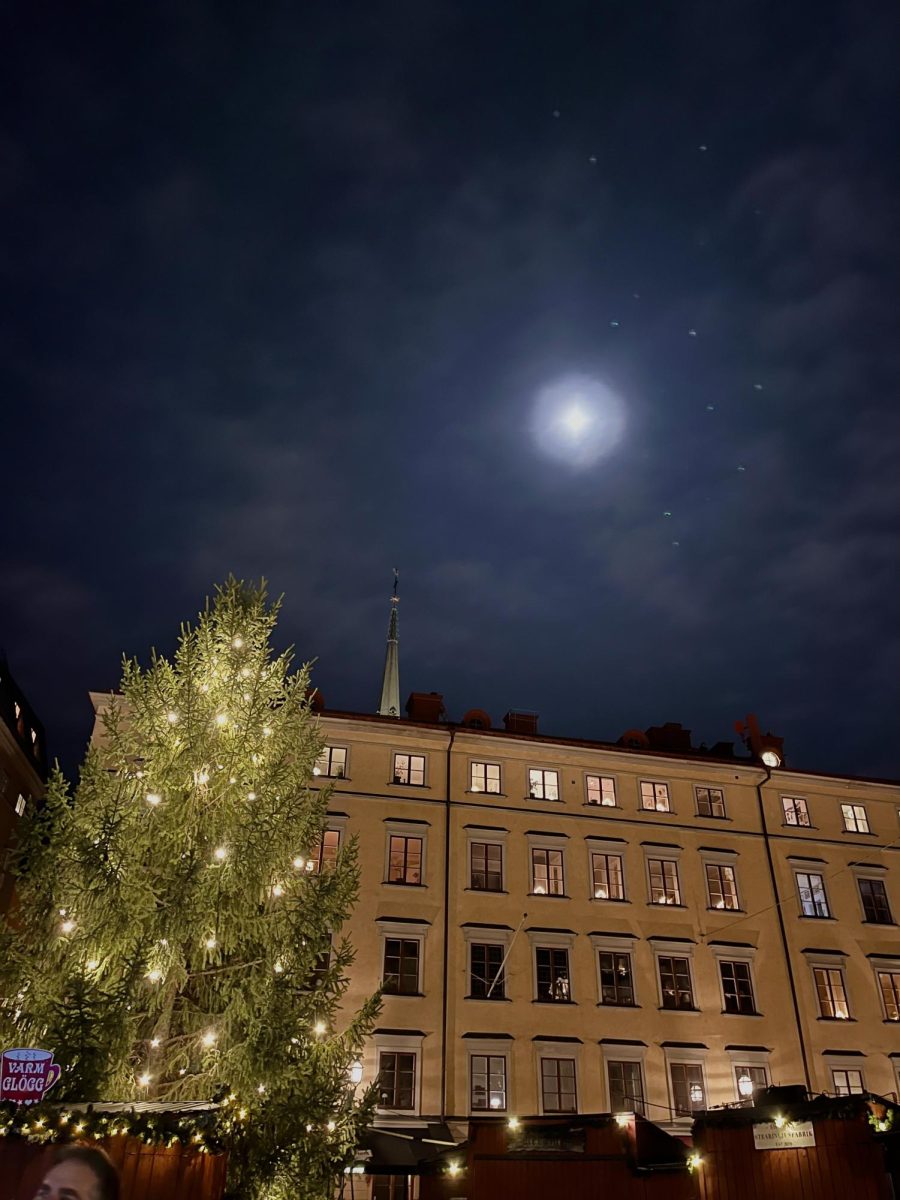 Picture of the Week by Keerthana M.