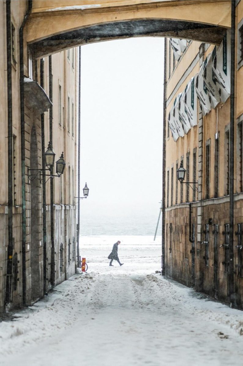 Picture of the Week by Michele C.
