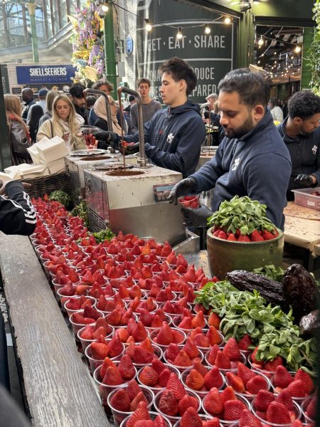 Tourist Attraction: The Chocolate-Covered Strawberries