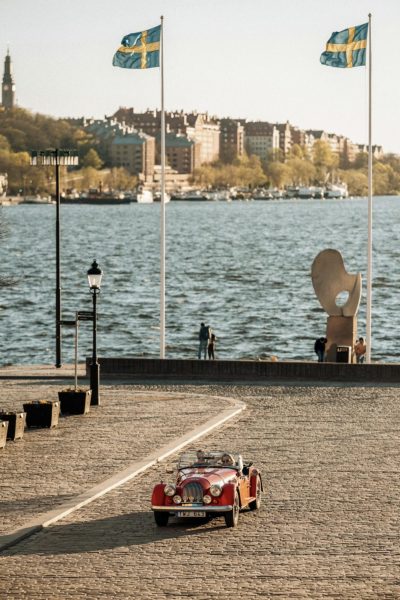 Picture of the Week By Michele C.