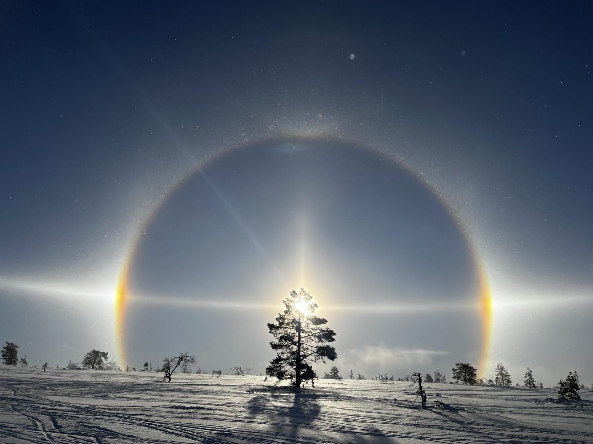 Picture of the Week: Photo Competition Winner - Mia P. from 7C