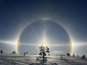 Picture of the Week: Photo Competition Winner - Mia P. from 7C